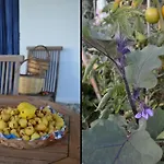 Su Sole De Barega By Interhome *